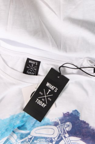 Herren T-Shirt Oviesse, Größe XXL, Farbe Weiß, Preis 10,82 €