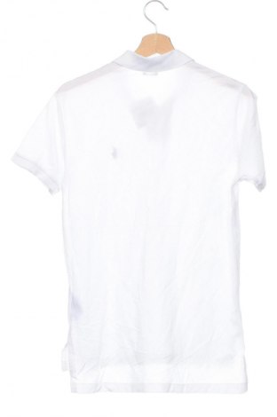 Herren T-Shirt Polo By Ralph Lauren, Größe S, Farbe Weiß, Preis € 40,49