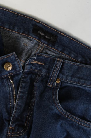 Ανδρικό τζίν Roberto Jeans, Μέγεθος M, Χρώμα Μπλέ, Τιμή 21,65 €