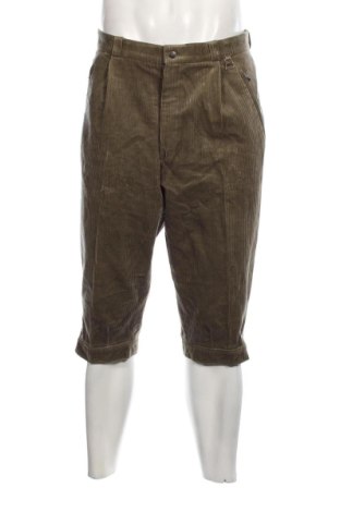 Pantaloni raiați de bărbați, Mărime L, Culoare Verde, Preț 38,16 Lei
