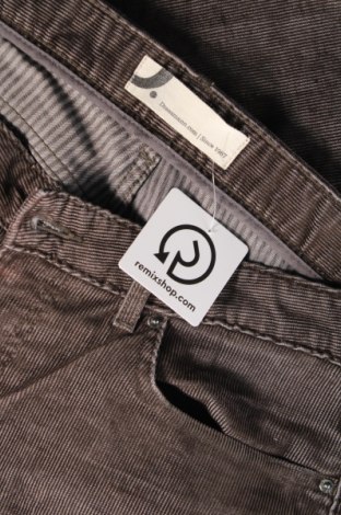 Ανδρικό κοτλέ παντελόνι Dressmann, Μέγεθος M, Χρώμα Γκρί, Τιμή 14,28 €