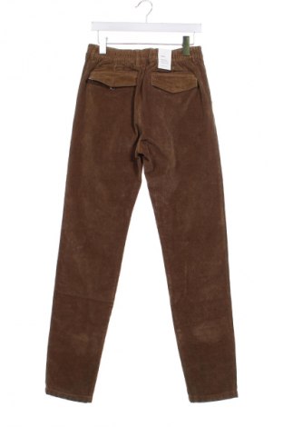 Herren Cordhose S.Oliver, Größe S, Farbe Beige, Preis € 10,49