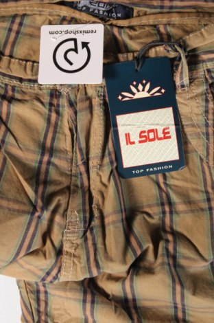 Ανδρικό κοντό παντελόνι, Μέγεθος L, Χρώμα Πράσινο, Τιμή 13,60 €