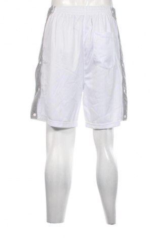 Ανδρικό κοντό παντελόνι, Μέγεθος XL, Χρώμα Λευκό, Τιμή 7,05 €