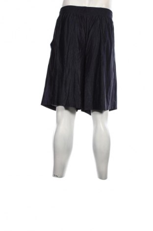 Ανδρικό κοντό παντελόνι, Μέγεθος XL, Χρώμα Μπλέ, Τιμή 11,51 €