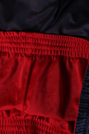 Pantaloni scurți de bărbați, Mărime XXL, Culoare Multicolor, Preț 37,50 Lei