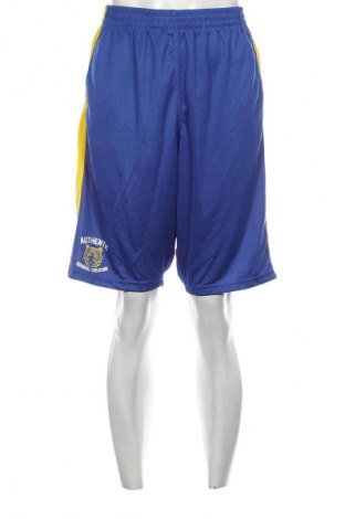 Ανδρικό κοντό παντελόνι, Μέγεθος L, Χρώμα Πολύχρωμο, Τιμή 9,59 €
