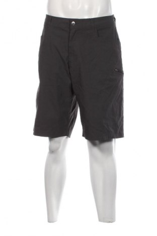 Ανδρικό κοντό παντελόνι, Μέγεθος M, Χρώμα Γκρί, Τιμή 15,46 €