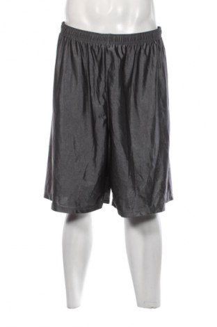 Ανδρικό κοντό παντελόνι, Μέγεθος XL, Χρώμα Γκρί, Τιμή 11,75 €