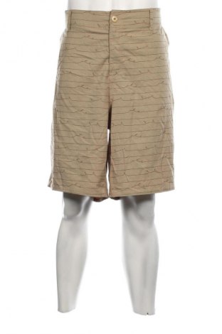 Herren Shorts, Größe XL, Farbe Grün, Preis € 13,22