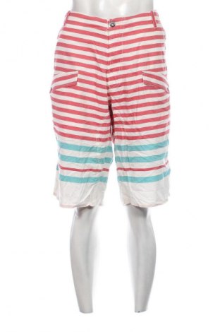 Ανδρικό κοντό παντελόνι, Μέγεθος XL, Χρώμα Πολύχρωμο, Τιμή 24,74 €