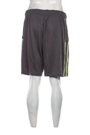 Herren Shorts, Größe XL, Farbe Grau, Preis € 7,27