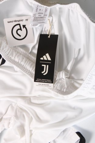 Pánske kraťasy  Adidas, Veľkosť M, Farba Biela, Cena  21,83 €