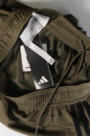 Ανδρικό κοντό παντελόνι Adidas, Μέγεθος S, Χρώμα Πράσινο, Τιμή 21,83 €