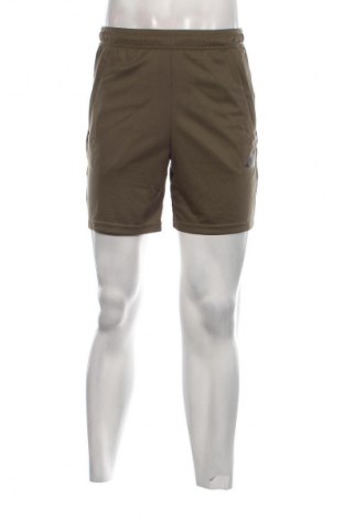 Herren Shorts Adidas, Größe S, Farbe Grün, Preis 21,83 €