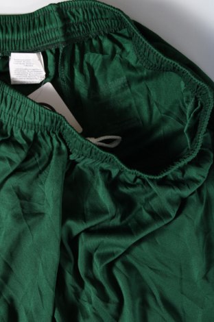 Мъжки къс панталон Augusta, Размер L, Цвят Зелен, Цена 9,50 лв.