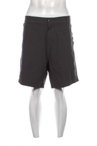Ανδρικό κοντό παντελόνι Burnside, Μέγεθος XL, Χρώμα Γκρί, Τιμή 10,52 €