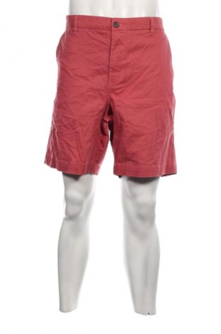 Ανδρικό κοντό παντελόνι Chaps, Μέγεθος XL, Χρώμα Ρόζ , Τιμή 15,46 €