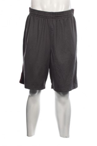 Ανδρικό κοντό παντελόνι Everlast, Μέγεθος XL, Χρώμα Γκρί, Τιμή 16,70 €