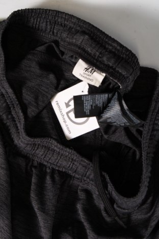 Мъжки къс панталон H&M Sport, Размер L, Цвят Сив, Цена 9,50 лв.