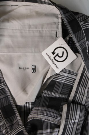 Herren Shorts Haggar, Größe XXL, Farbe Mehrfarbig, Preis 4,29 €