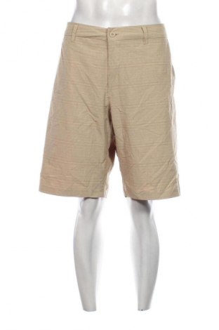Ανδρικό κοντό παντελόνι Hang Ten, Μέγεθος XL, Χρώμα  Μπέζ, Τιμή 16,70 €