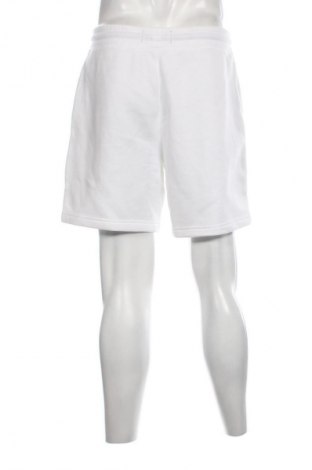 Herren Shorts Hollister, Größe L, Farbe Weiß, Preis € 17,58