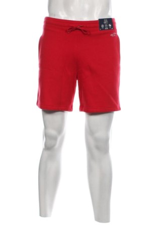 Ανδρικό κοντό παντελόνι Hollister, Μέγεθος XS, Χρώμα Κόκκινο, Τιμή 15,88 €