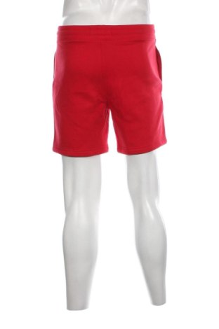 Herren Shorts Hollister, Größe XS, Farbe Rot, Preis € 15,88