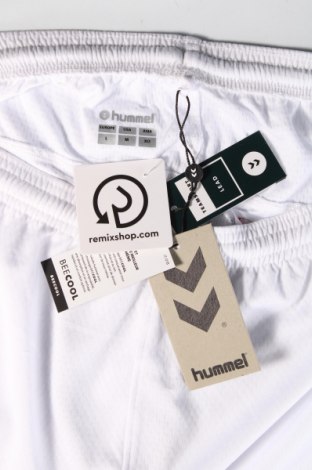 Ανδρικό κοντό παντελόνι Hummel, Μέγεθος L, Χρώμα Λευκό, Τιμή 12,99 €