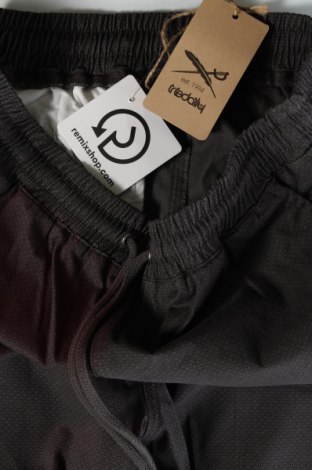 Ανδρικό κοντό παντελόνι Iriedaily, Μέγεθος XS, Χρώμα Γκρί, Τιμή 12,78 €