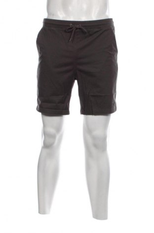 Ανδρικό κοντό παντελόνι Iriedaily, Μέγεθος XS, Χρώμα Γκρί, Τιμή 12,78 €
