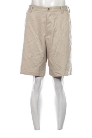 Ανδρικό κοντό παντελόνι Izod, Μέγεθος L, Χρώμα  Μπέζ, Τιμή 15,46 €
