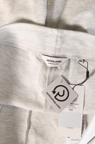 Ανδρικό κοντό παντελόνι Jack & Jones, Μέγεθος XL, Χρώμα Γκρί, Τιμή 21,14 €