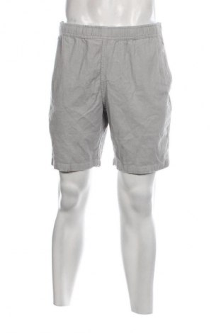 Ανδρικό κοντό παντελόνι Santa Cruz, Μέγεθος M, Χρώμα Γκρί, Τιμή 11,34 €