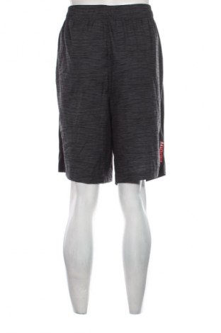 Herren Shorts Tapout, Größe XL, Farbe Grau, Preis € 12,53