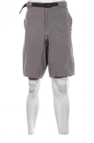 Pantaloni scurți de bărbați The North Face, Mărime L, Culoare Gri, Preț 157,89 Lei