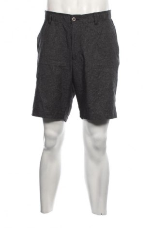 Herren Shorts Under Armour, Größe XL, Farbe Grau, Preis 23,66 €