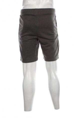 Ανδρικό κοντό παντελόνι Viral Vibes, Μέγεθος M, Χρώμα Γκρί, Τιμή 15,98 €