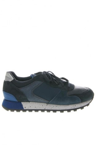 Ανδρικά παπούτσια Geox, Μέγεθος 40, Χρώμα Μπλέ, Τιμή 55,05 €