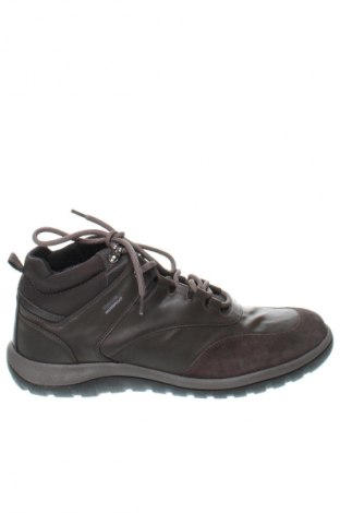 Herrenschuhe Geox, Größe 45, Farbe Braun, Preis € 64,49