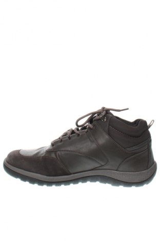 Herrenschuhe Geox, Größe 45, Farbe Braun, Preis € 64,49