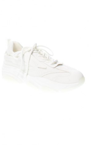 Ανδρικά παπούτσια Steve Madden, Μέγεθος 45, Χρώμα Λευκό, Τιμή 78,48 €
