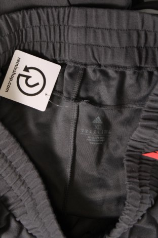 Ανδρικό παντελόνι Adidas, Μέγεθος XL, Χρώμα Γκρί, Τιμή 34,02 €