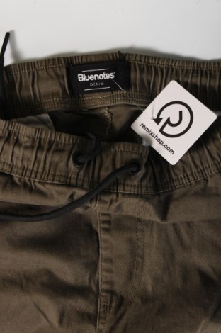 Pánské kalhoty  Bluenotes, Velikost XL, Barva Zelená, Cena  254,00 Kč