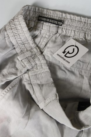 Мъжки панталон Drykorn for beautiful people, Размер M, Цвят Сив, Цена 96,00 лв.
