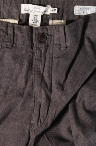 Herrenhose H&M L.O.G.G., Größe M, Farbe Grau, Preis € 20,18