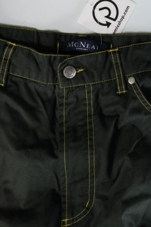Ανδρικό παντελόνι McNeal, Μέγεθος M, Χρώμα Πράσινο, Τιμή 10,14 €