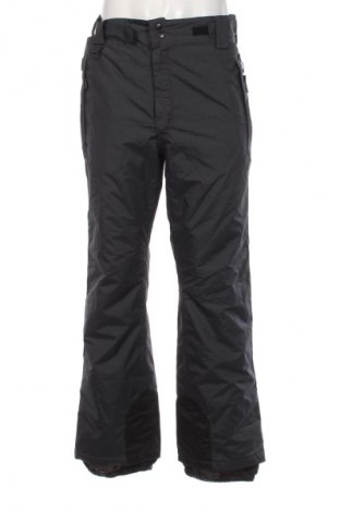 Ανδρικό παντελόνι για χειμερινά σπορ Crivit, Μέγεθος L, Χρώμα Γκρί, Τιμή 48,25 €