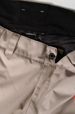 Ανδρικό παντελόνι για χειμερινά σπορ Icepeak, Μέγεθος L, Χρώμα Γκρί, Τιμή 80,41 €